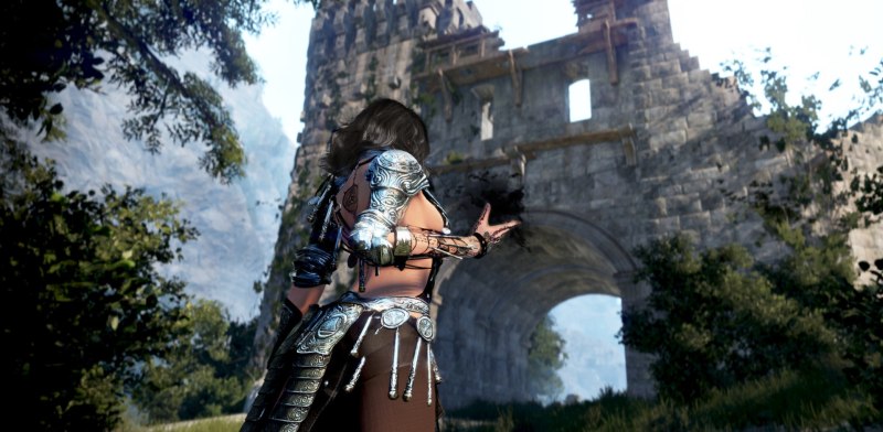    MMO Black Desert